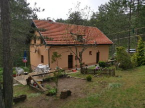 Apartmani Popovic